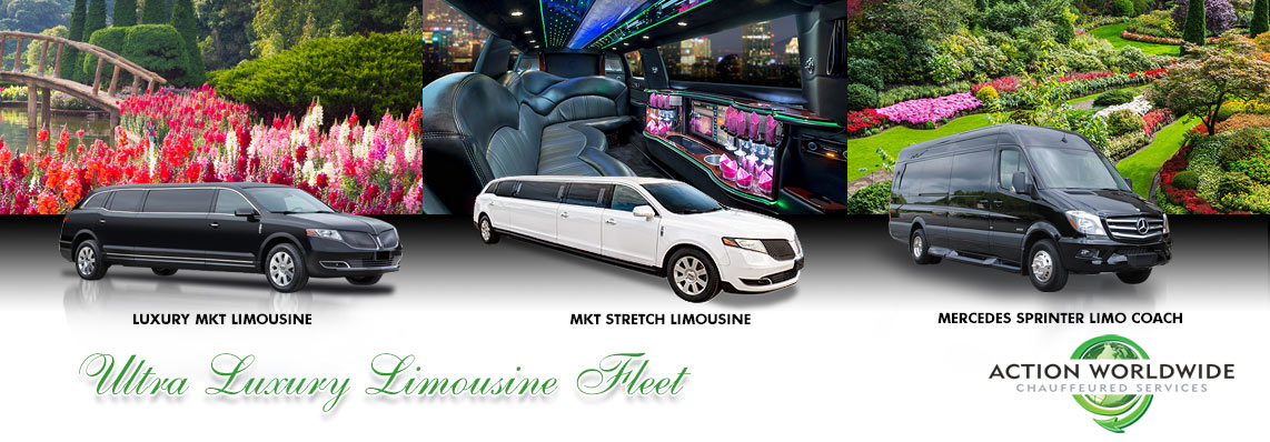 Atlanta Gardens for Connoisseurs Tour Transportation Service - Luxury Limo Fleet