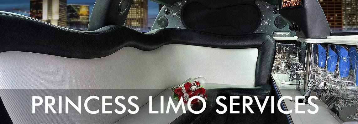 Sweet Sixteen Limo Party Rentals & Services